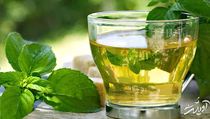 چای سبز و نعناع